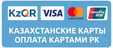 AM_CARD_KZ