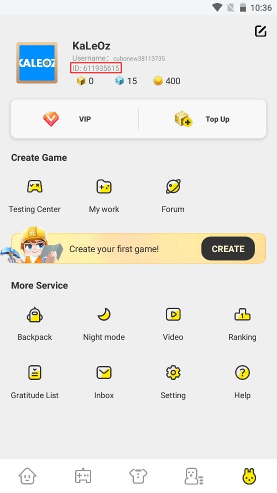 Blockman Go profile summary page showing user ID numbers positioned beneath the player name