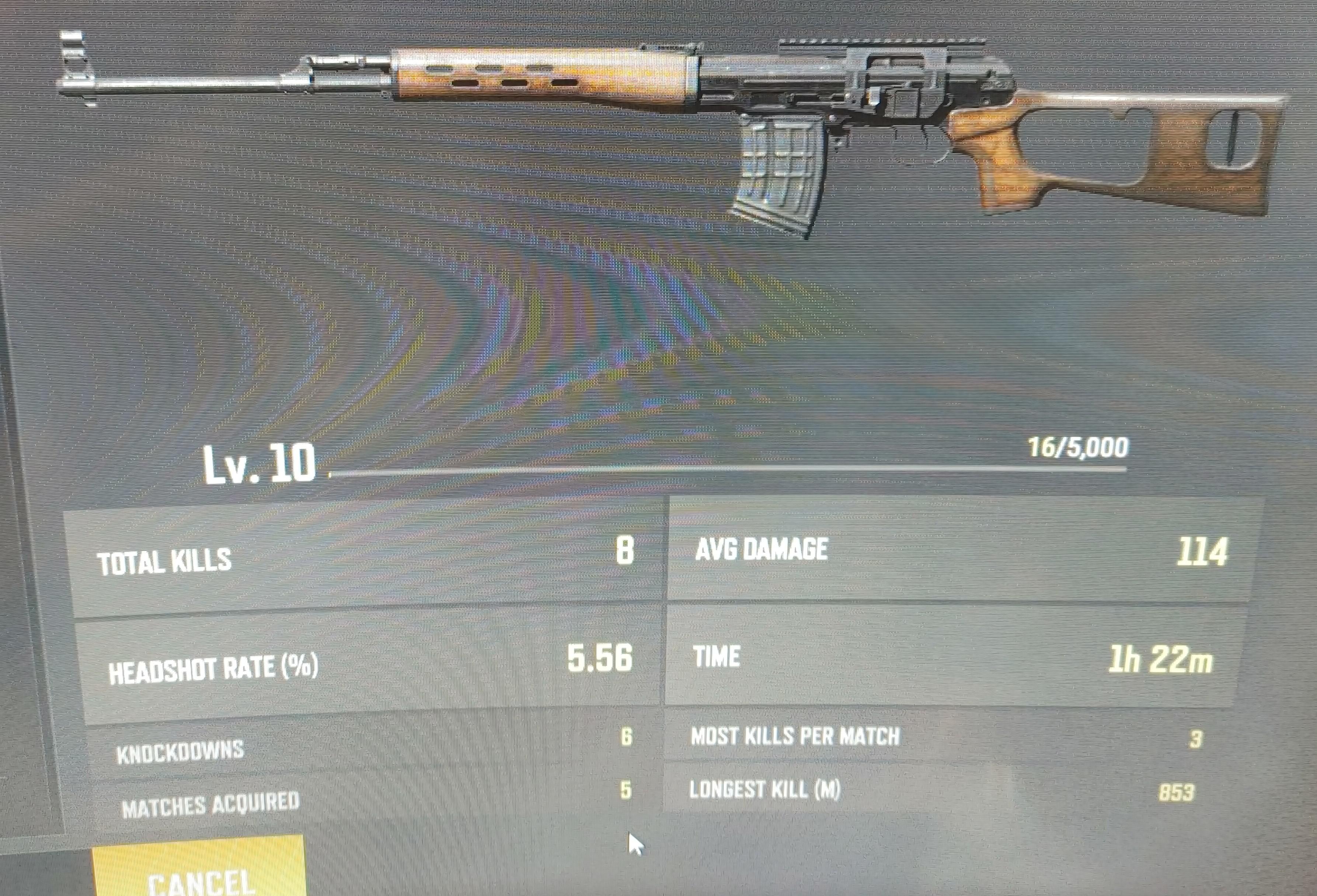 Dragunov DMR configured with cheek pad and high-magnification scope
