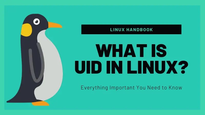 How to find your Lklk UID