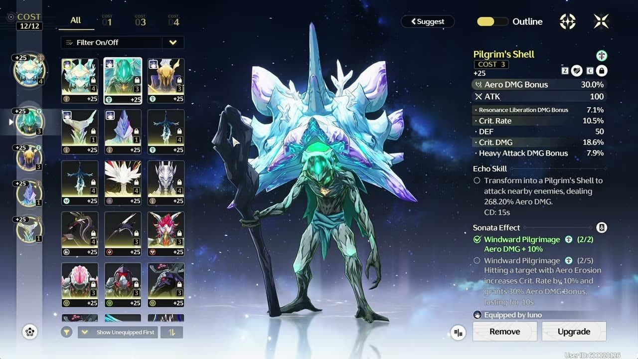 Wuthering Waves Aero Sonata Echo with double crit for Jiyan